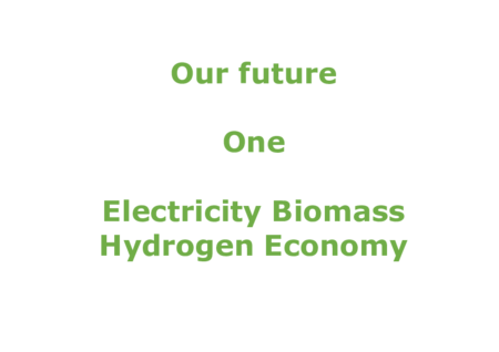 Our Future Electricity Bio Hydrogen Economy